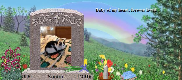 Simon's Rainbow Bridge Pet Loss Memorial Residency Image