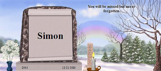 Simon's Rainbow Bridge Pet Loss Memorial Residency Image