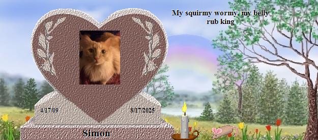 Simon's Rainbow Bridge Pet Loss Memorial Residency Image