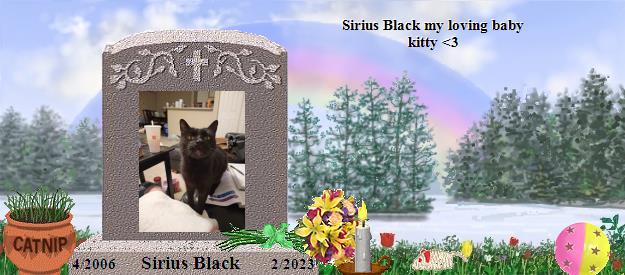 Sirius Black's Rainbow Bridge Pet Loss Memorial Residency Image