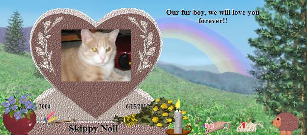 Skippy Noll's Rainbow Bridge Pet Loss Memorial Residency Image