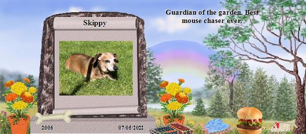 Skippy's Rainbow Bridge Pet Loss Memorial Residency Image