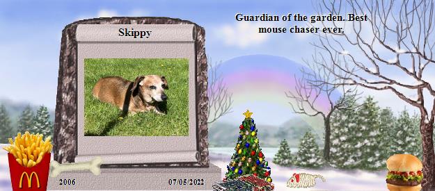 Skippy's Rainbow Bridge Pet Loss Memorial Residency Image