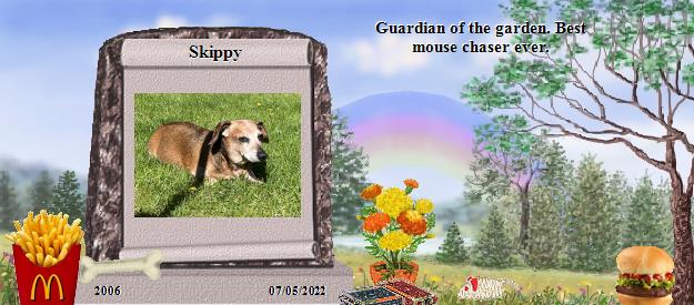 Skippy's Rainbow Bridge Pet Loss Memorial Residency Image