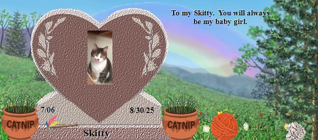 Skitty's Rainbow Bridge Pet Loss Memorial Residency Image