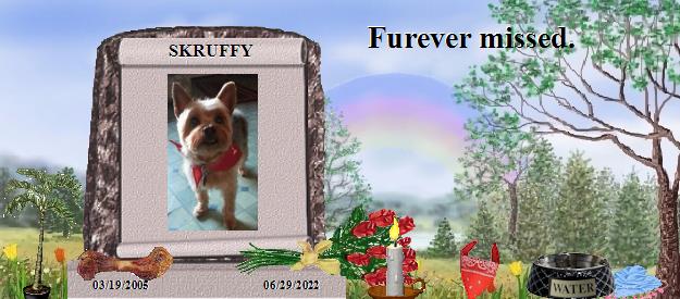 SKRUFFY's Rainbow Bridge Pet Loss Memorial Residency Image