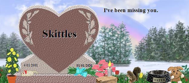 Skittles's Rainbow Bridge Pet Loss Memorial Residency Image