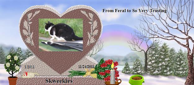 Skweekies's Rainbow Bridge Pet Loss Memorial Residency Image