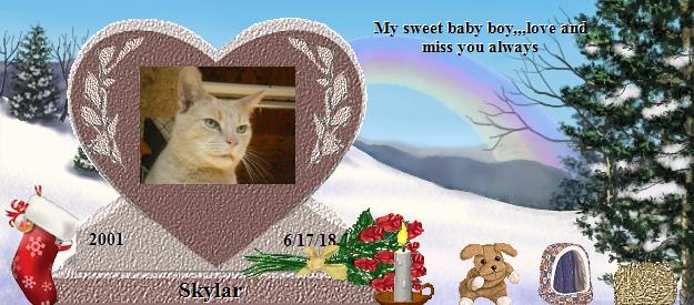 Skylar's Rainbow Bridge Pet Loss Memorial Residency Image