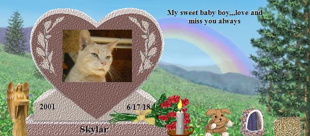 Skylar's Rainbow Bridge Pet Loss Memorial Residency Image