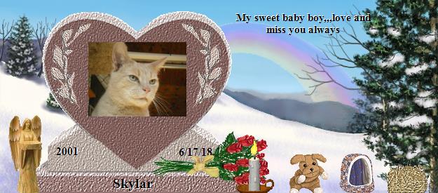 Skylar's Rainbow Bridge Pet Loss Memorial Residency Image