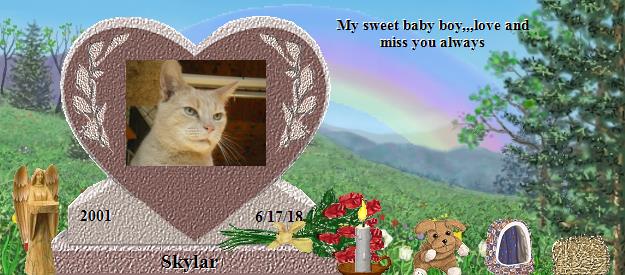 Skylar's Rainbow Bridge Pet Loss Memorial Residency Image