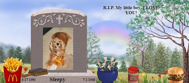 Sleepy's Rainbow Bridge Pet Loss Memorial Residency Image