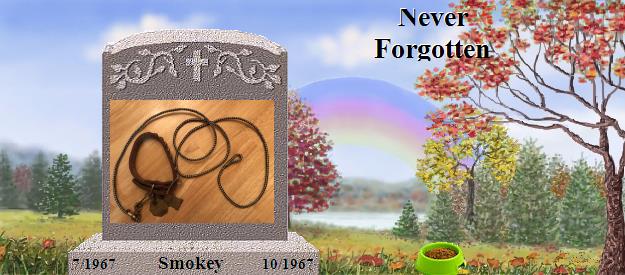 Smokey's Rainbow Bridge Pet Loss Memorial Residency Image