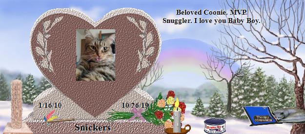 Snickers's Rainbow Bridge Pet Loss Memorial Residency Image