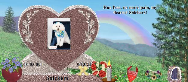 Snickers's Rainbow Bridge Pet Loss Memorial Residency Image