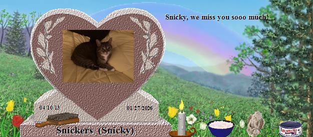 Snickers  (Snicky)'s Rainbow Bridge Pet Loss Memorial Residency Image