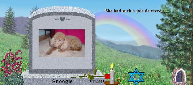 Snoogie's Rainbow Bridge Pet Loss Memorial Residency Image