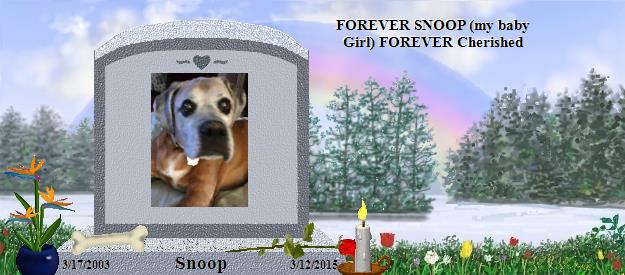 Snoop's Rainbow Bridge Pet Loss Memorial Residency Image