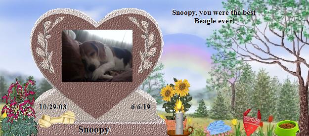 Snoopy's Rainbow Bridge Pet Loss Memorial Residency Image
