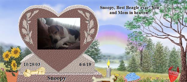 Snoopy's Rainbow Bridge Pet Loss Memorial Residency Image