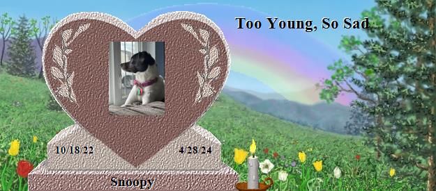 Snoopy's Rainbow Bridge Pet Loss Memorial Residency Image