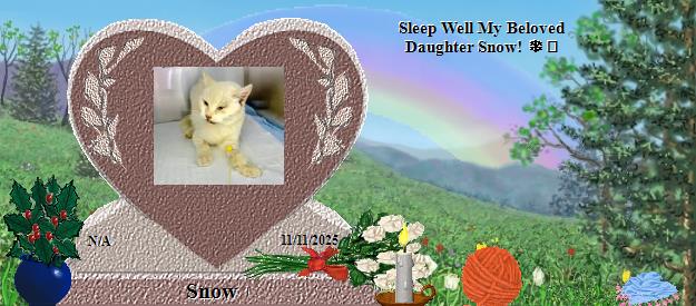 Snow's Rainbow Bridge Pet Loss Memorial Residency Image