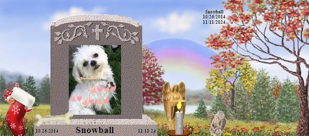 Snowball's Rainbow Bridge Pet Loss Memorial Residency Image