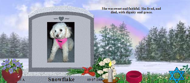 Snowflake's Rainbow Bridge Pet Loss Memorial Residency Image