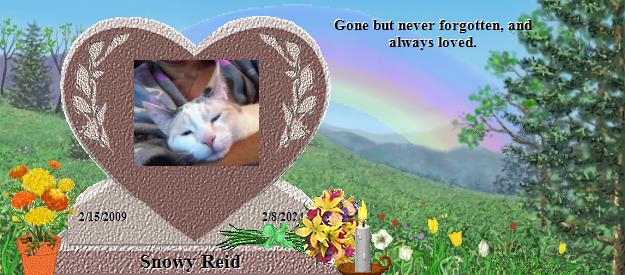 Snowy Reid's Rainbow Bridge Pet Loss Memorial Residency Image