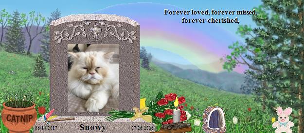 Snowy's Rainbow Bridge Pet Loss Memorial Residency Image