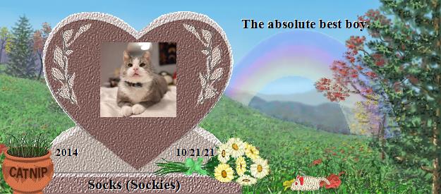 Socks (Sockies)'s Rainbow Bridge Pet Loss Memorial Residency Image