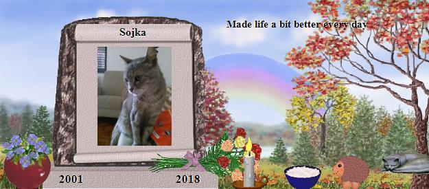 Sojka's Rainbow Bridge Pet Loss Memorial Residency Image