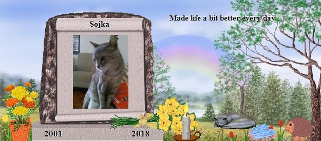 Sojka's Rainbow Bridge Pet Loss Memorial Residency Image