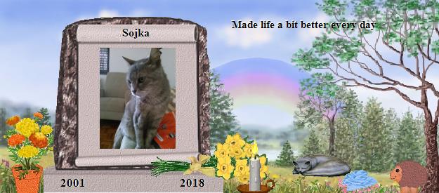 Sojka's Rainbow Bridge Pet Loss Memorial Residency Image