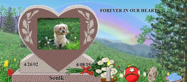 Sonik's Rainbow Bridge Pet Loss Memorial Residency Image