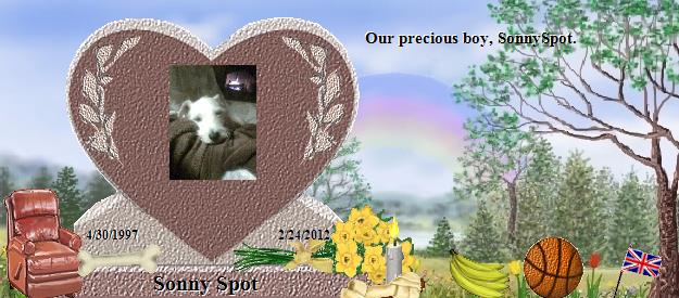Sonny Spot's Rainbow Bridge Pet Loss Memorial Residency Image