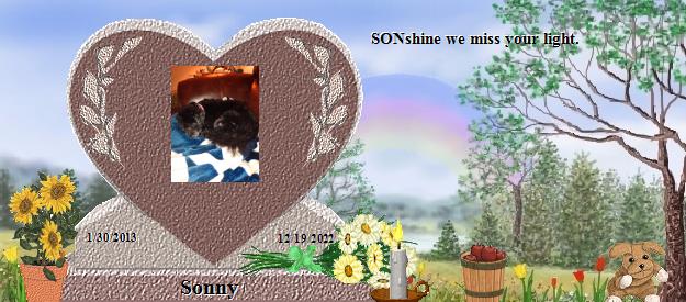 Sonny's Rainbow Bridge Pet Loss Memorial Residency Image