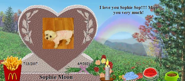 Sophie Moon's Rainbow Bridge Pet Loss Memorial Residency Image