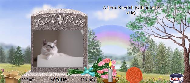 Sophie's Rainbow Bridge Pet Loss Memorial Residency Image