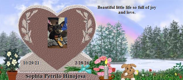Sophia Petrilo Hinojosa's Rainbow Bridge Pet Loss Memorial Residency Image