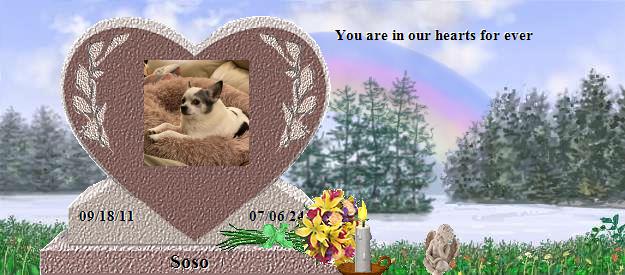 Soso's Rainbow Bridge Pet Loss Memorial Residency Image