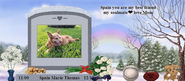 Spain Marie Thomas's Rainbow Bridge Pet Loss Memorial Residency Image