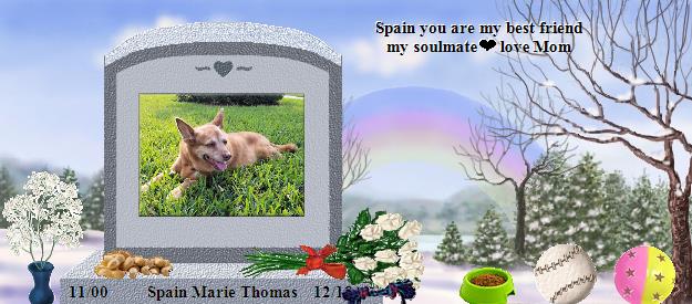 Spain Marie Thomas's Rainbow Bridge Pet Loss Memorial Residency Image