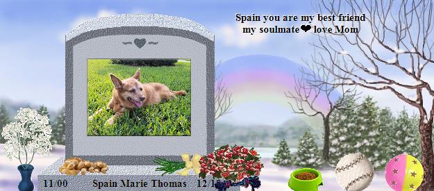 Spain Marie Thomas's Rainbow Bridge Pet Loss Memorial Residency Image