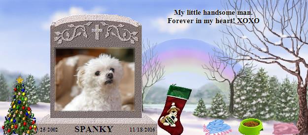 SPANKY's Rainbow Bridge Pet Loss Memorial Residency Image