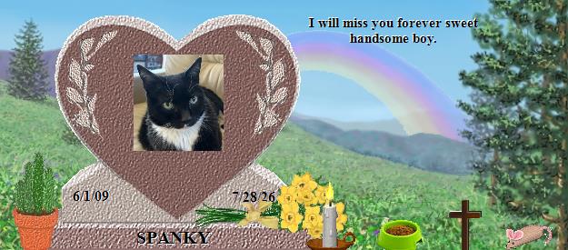 SPANKY's Rainbow Bridge Pet Loss Memorial Residency Image