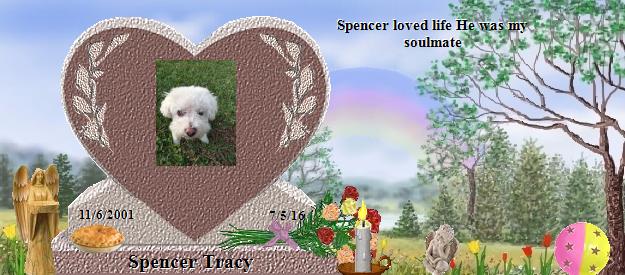 Spencer Tracy's Rainbow Bridge Pet Loss Memorial Residency Image