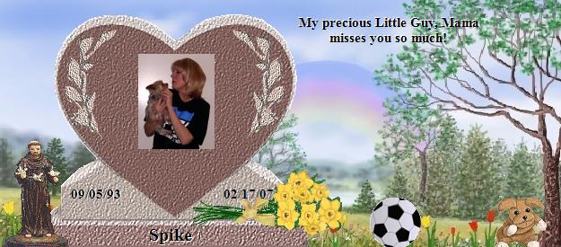 Spike's Rainbow Bridge Pet Loss Memorial Residency Image