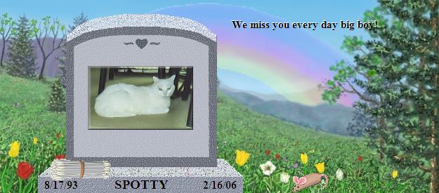 SPOTTY's Rainbow Bridge Pet Loss Memorial Residency Image